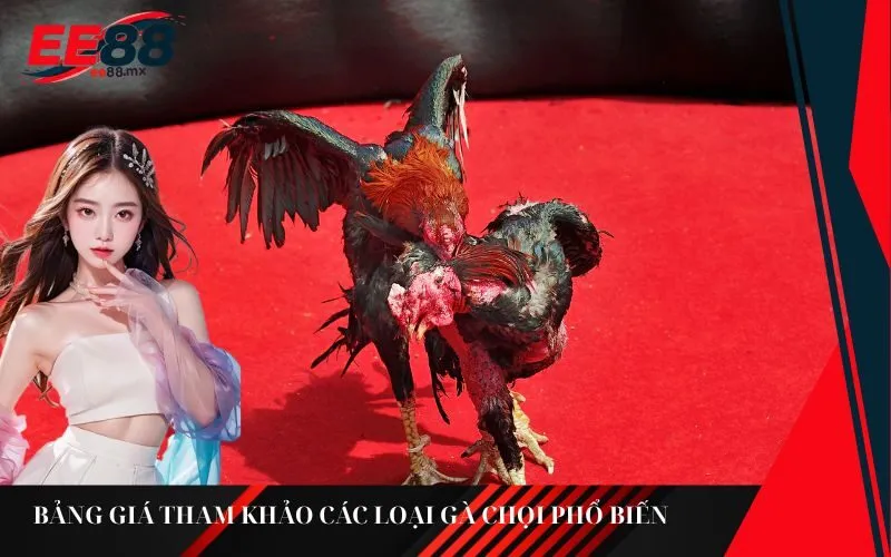 Bảng giá tham khảo các loại gà chọi phổ biến