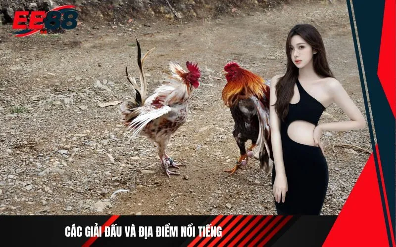 Các giải đấu và địa điểm nổi tiếng